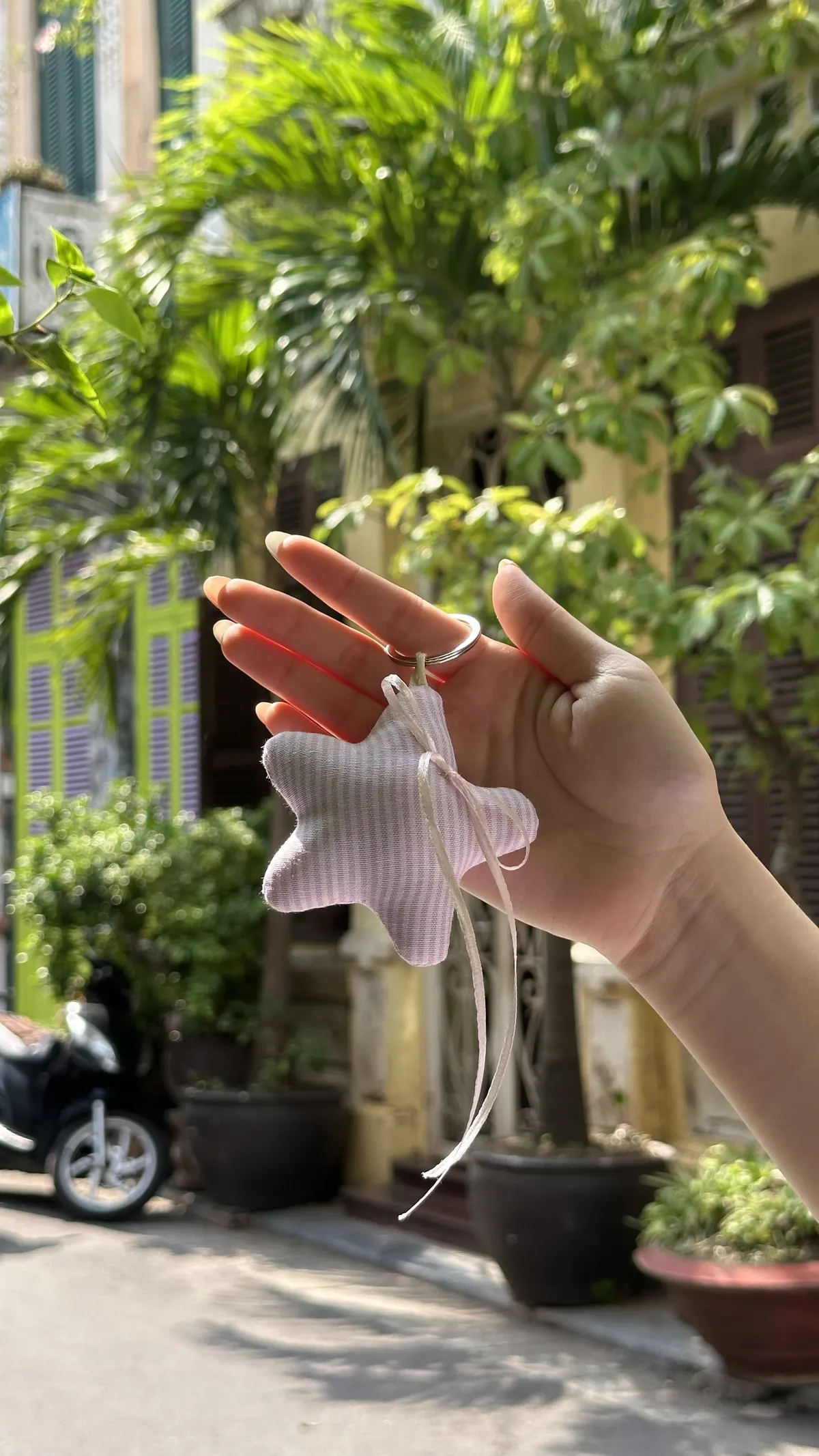 Charm Peekey ngôi sao hồng